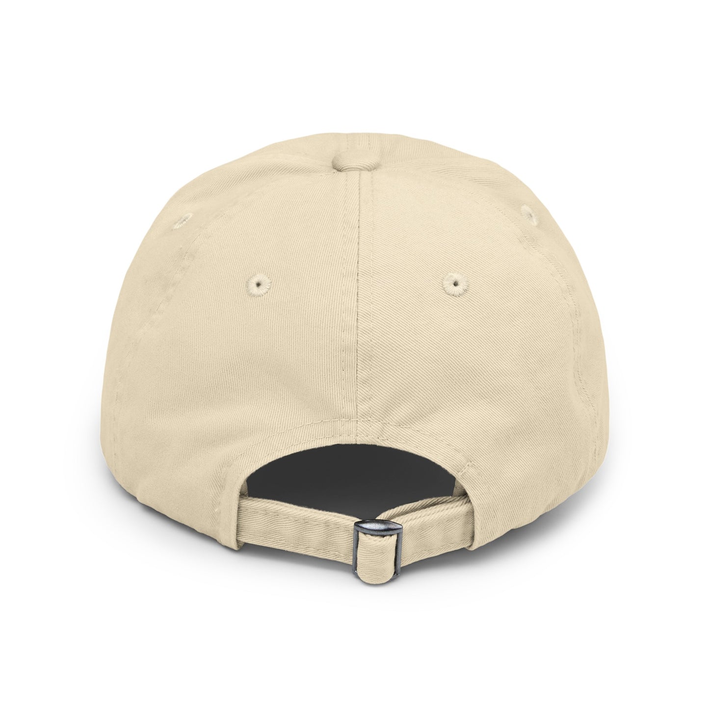 PLUSH BOY UNIVERSITY STONE DISTRESSED CAP
