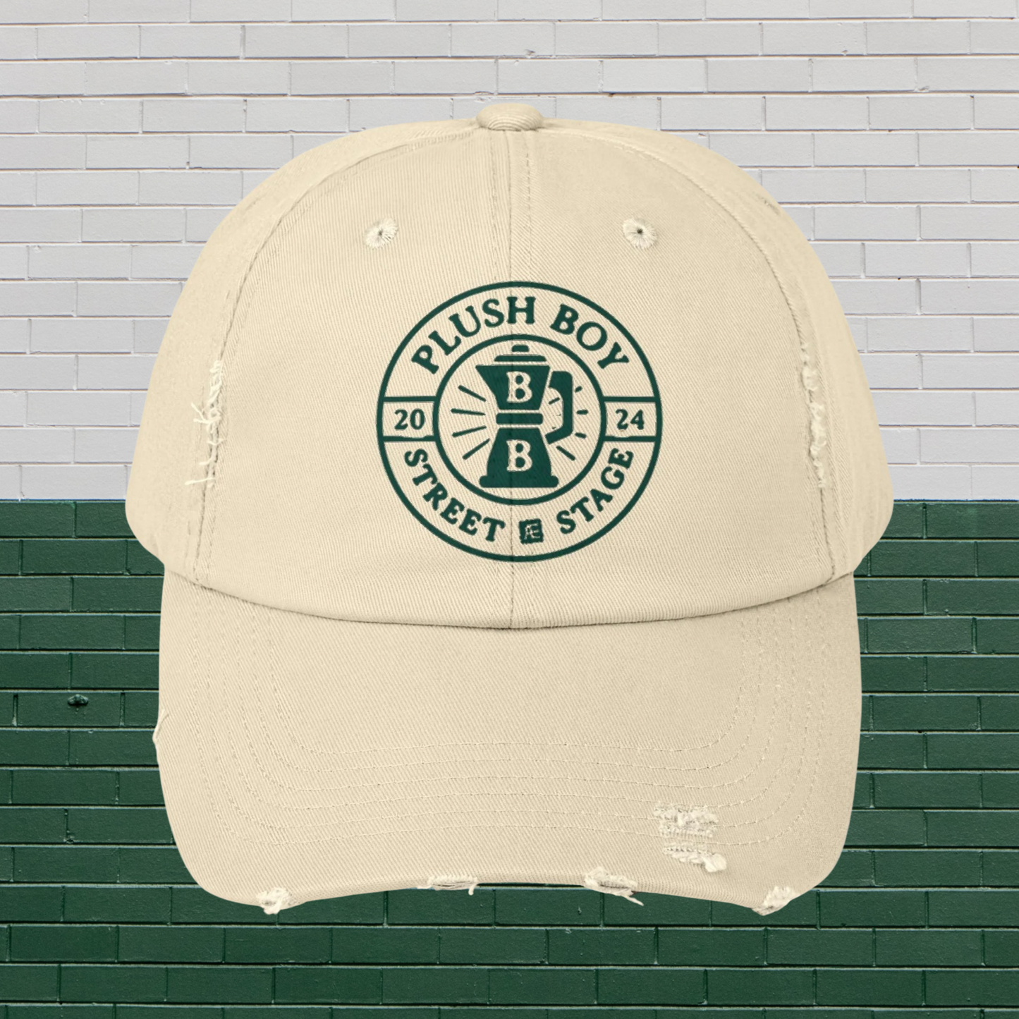PLUSH BOY UNIVERSITY STONE DISTRESSED CAP