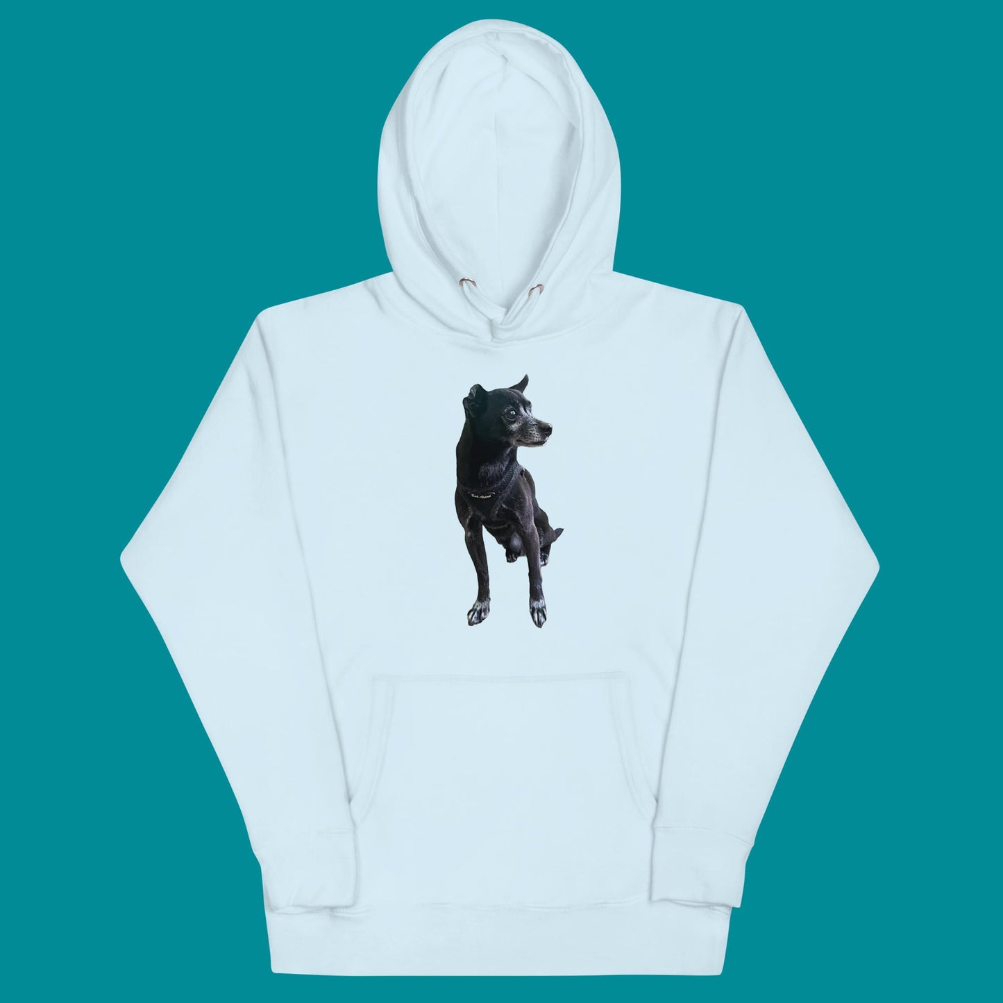 PLUSH BOY CHANCE THE DOG HOODIE