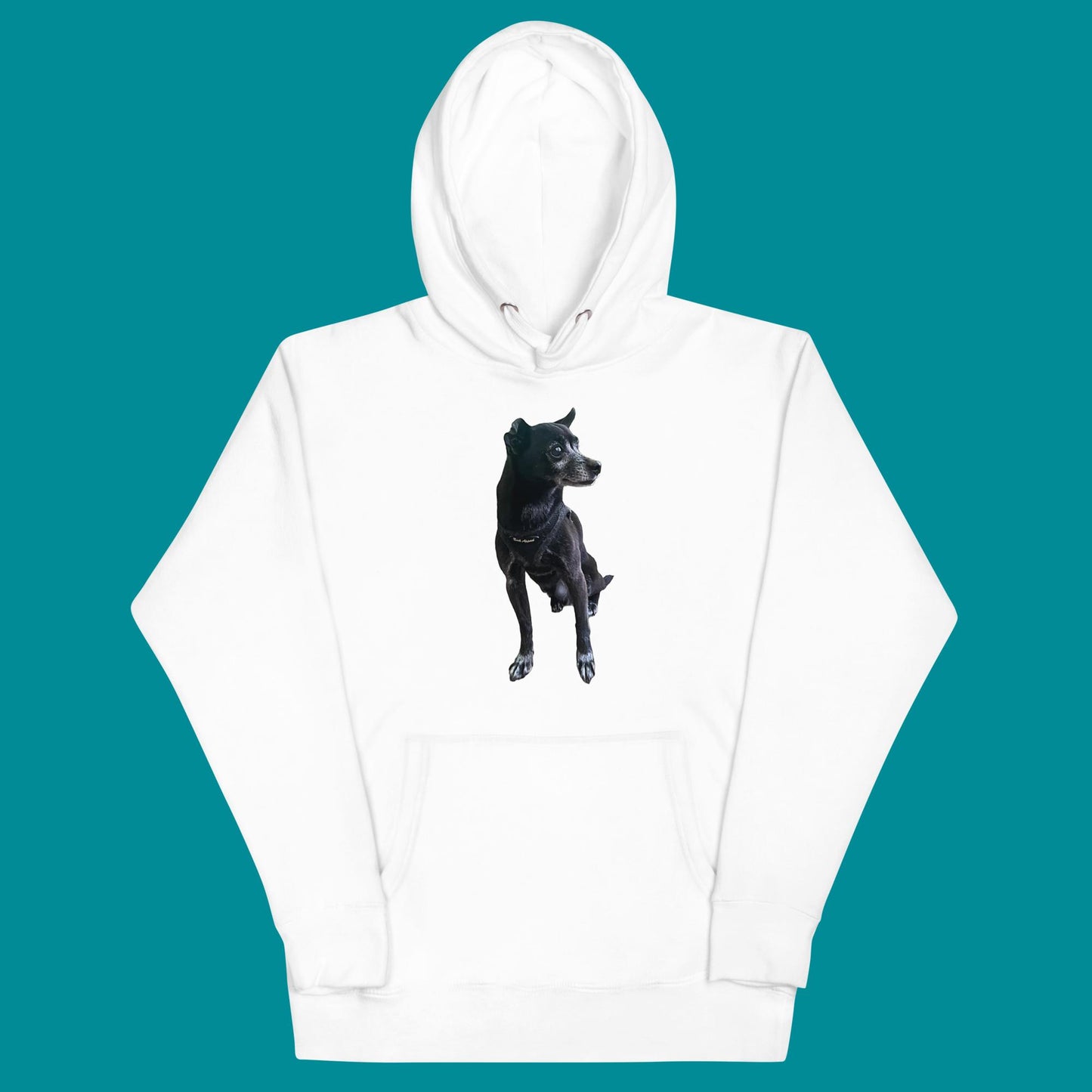 PLUSH BOY CHANCE THE DOG HOODIE