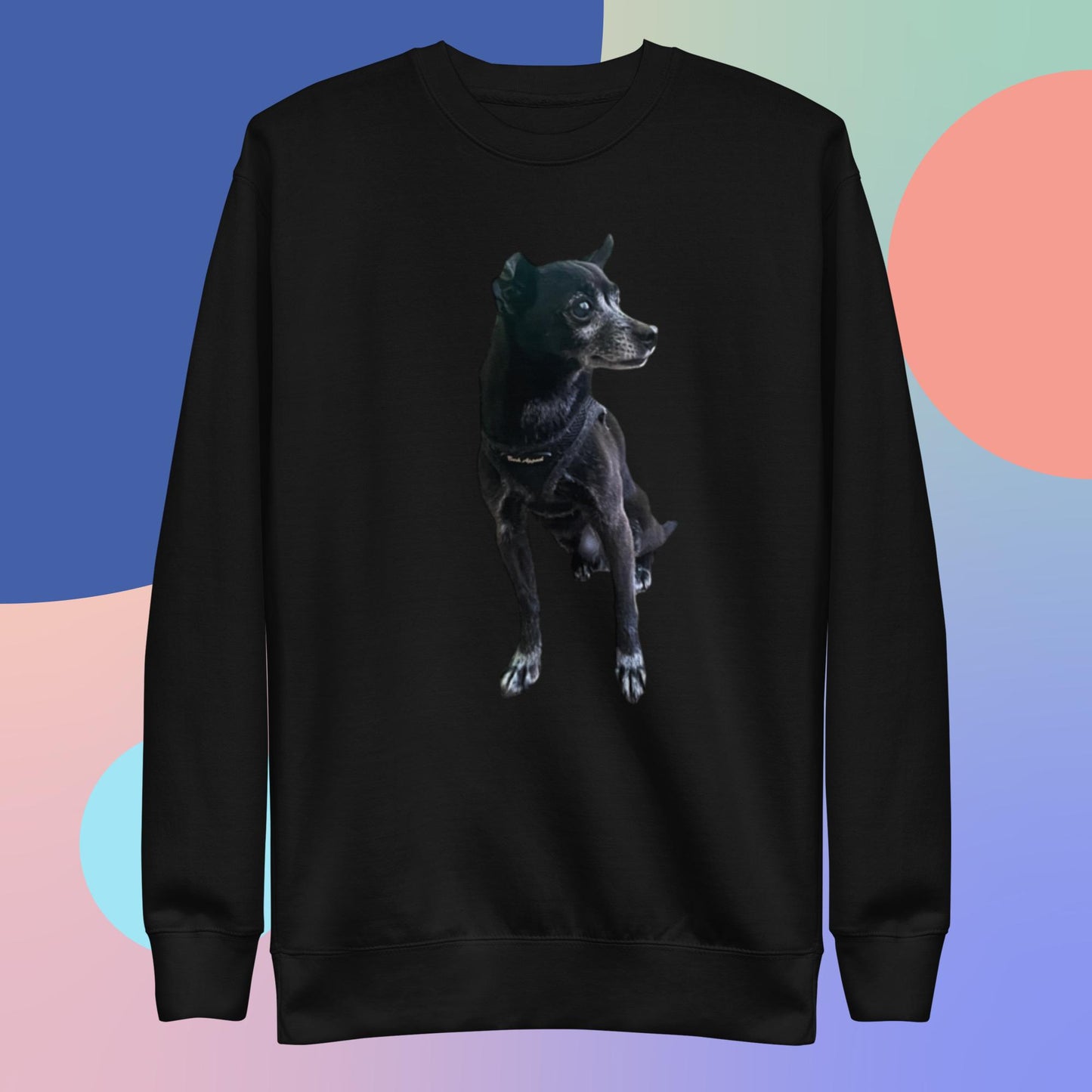 PLUSH BOY CHANCE THE DOG SWEATSHIRT