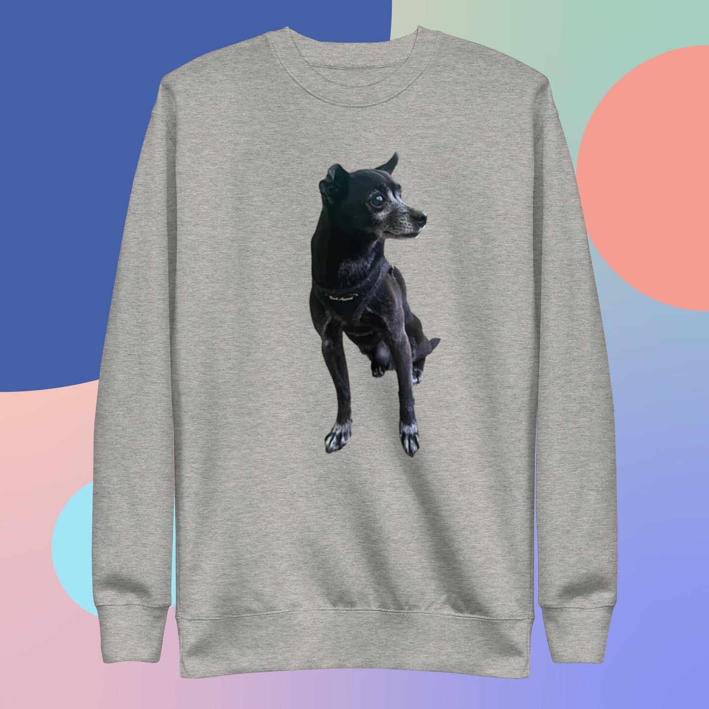 PLUSH BOY CHANCE THE DOG SWEATSHIRT