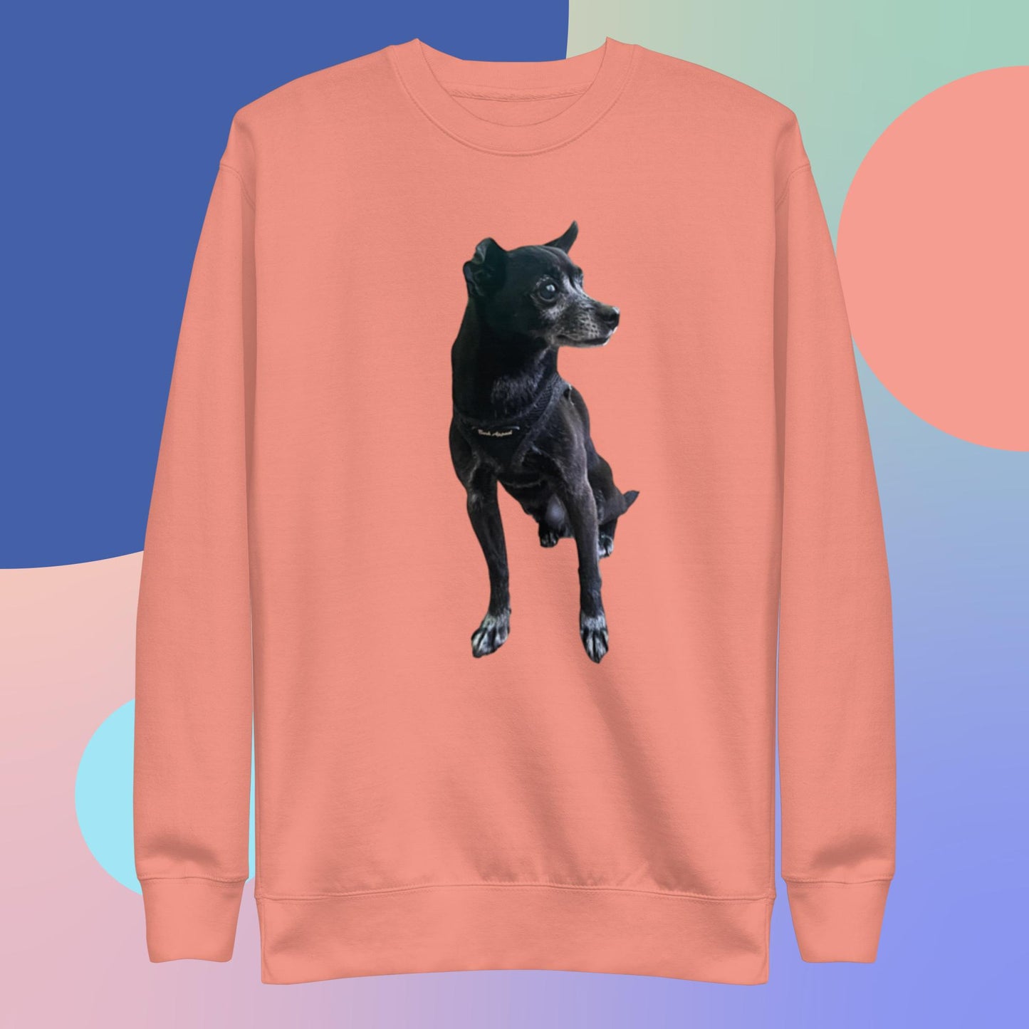 PLUSH BOY CHANCE THE DOG SWEATSHIRT