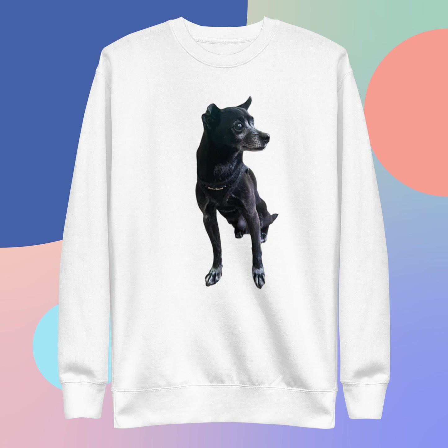 PLUSH BOY CHANCE THE DOG SWEATSHIRT