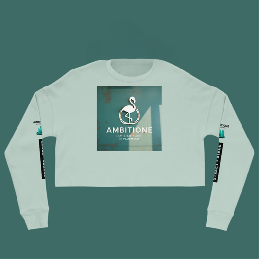AMBITIONE BLEU BLOCK SWEAT CROP